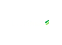 Bitfinex